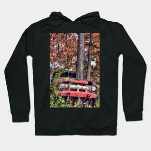 Another Autumn Hoodie